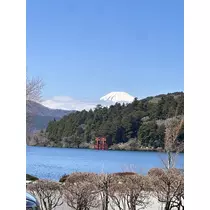 神崎 蘭