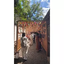 ラム