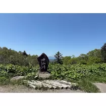 西園寺 ゆきみ