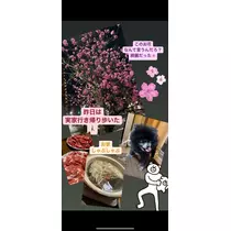 桜嬢