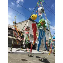 七星 夏純