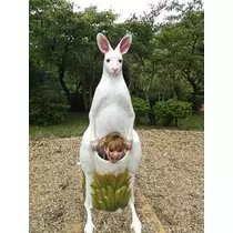愛羽 仁美