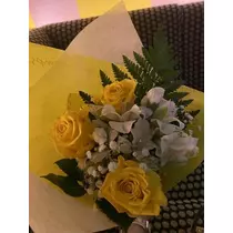 白石 愛莉