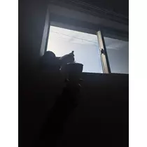 ゆう