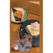 七星 夏純