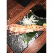 白石 愛莉