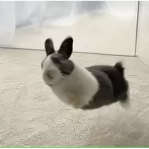 みれい