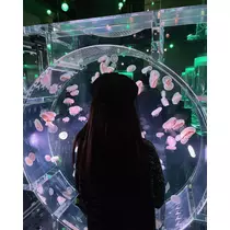 凛花