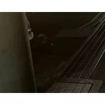 ハル