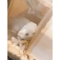 えみり