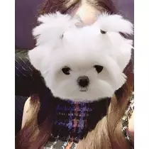 麗奈