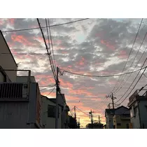 めい