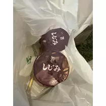 檀 れん