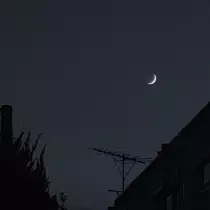 みこと
