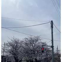 リン
