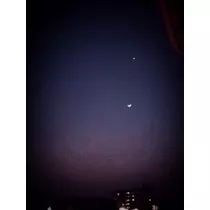 奈央