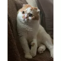 れみ