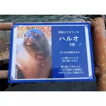 ゆうな
