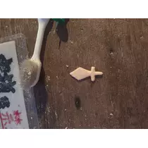 如月 凛