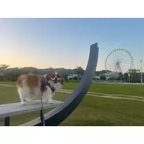あいら