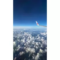 みみ