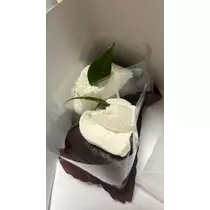 しほ