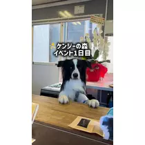 みこ