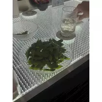 西蓮寺 ひかる