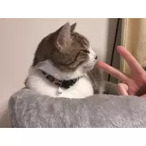 恋麦乃 ちょり