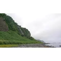 ひな