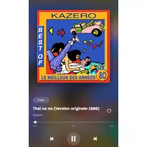 いる