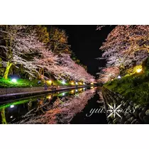 神崎　唯