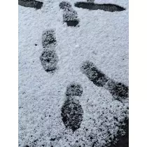 天月 あすな