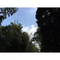 一色 咲