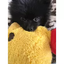 ティナ