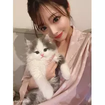 一条 みさき