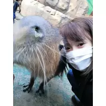 あや