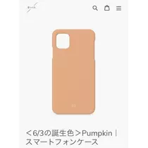 七星 夏純