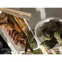 藤咲 りな