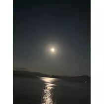 しおん
