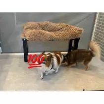 あいら