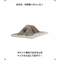 七星 夏純