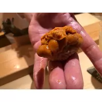 芹澤 あん