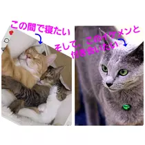 美穂