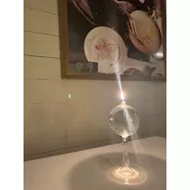 美咲 のばら