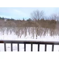 かれん