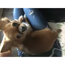 ユカ
