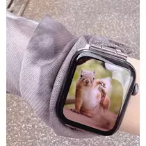 ひな