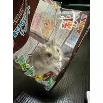 あんな