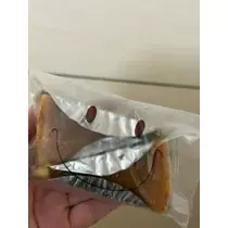 桐島 りゅう